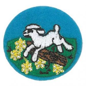 Little Lamb Induction Patch