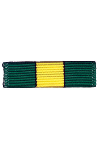 Explorer Ribbon Bar
