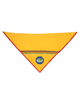 Adventurer Master Guide Scarf