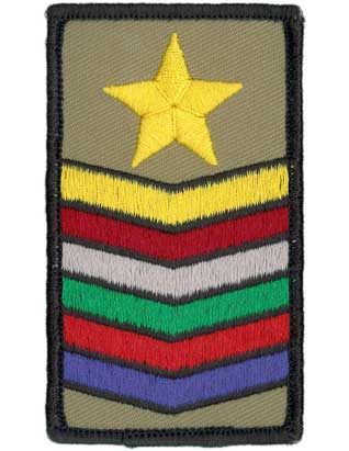 Master Guide Combination Chevron Sleeve Patch – Pathfinders | Central ...